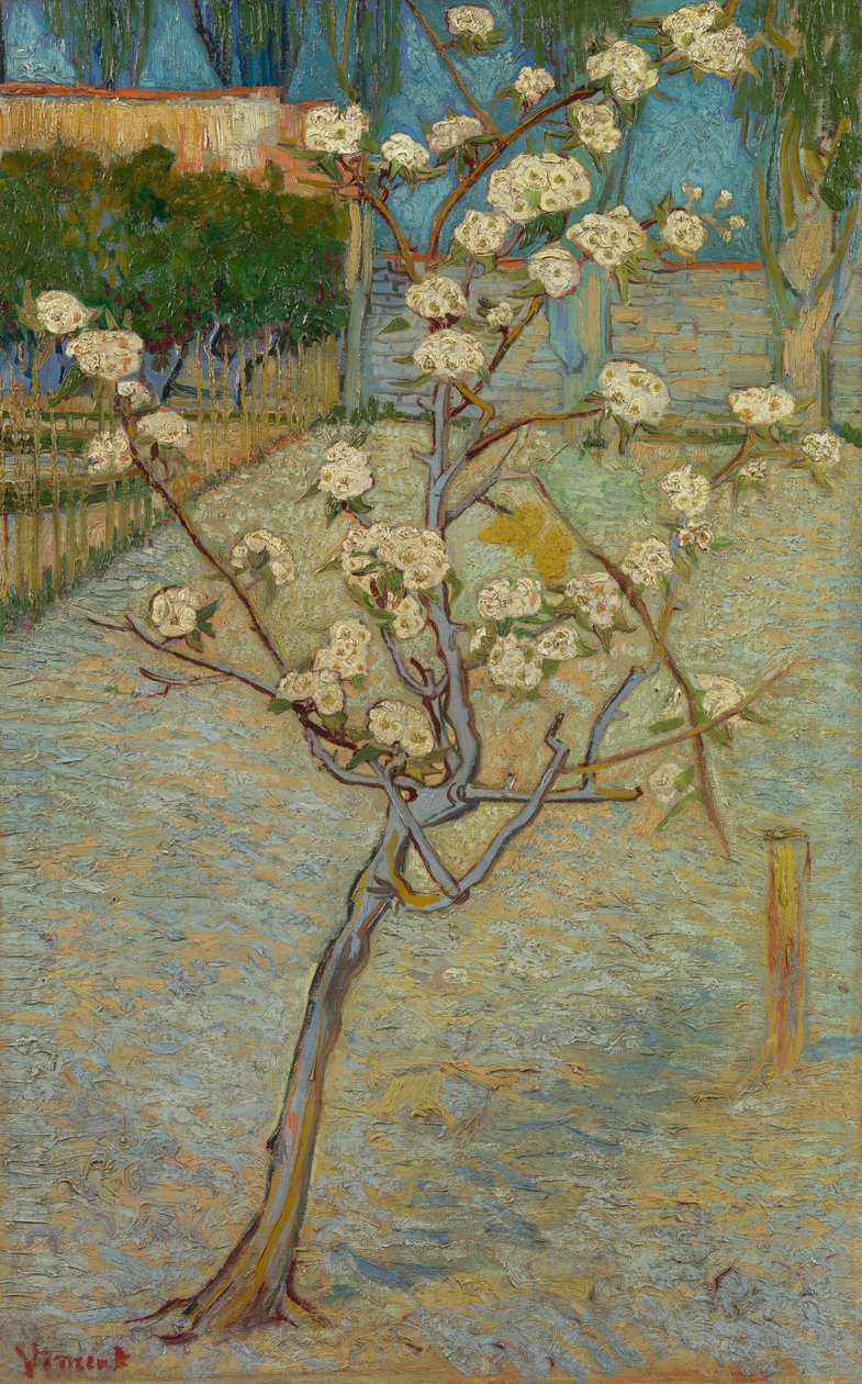 Petit poirier en fleur - Vincent van Gogh
