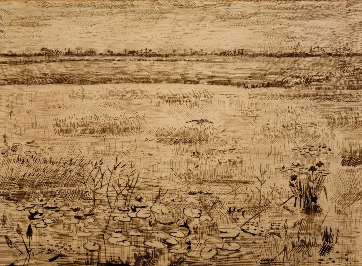 Paysage marécageux avec nénuphars - Vincent van Gogh
