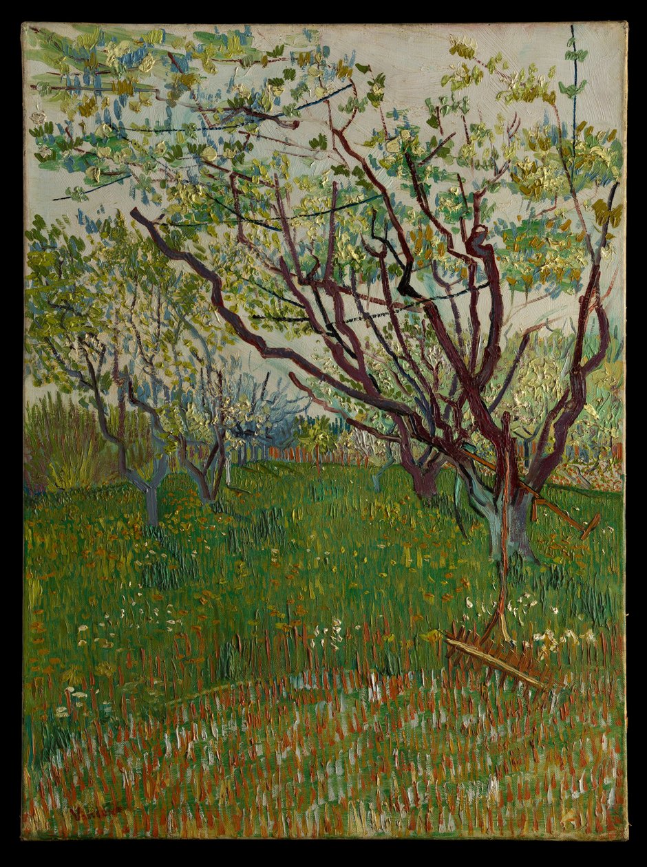 Le verger en fleurs - Vincent van Gogh