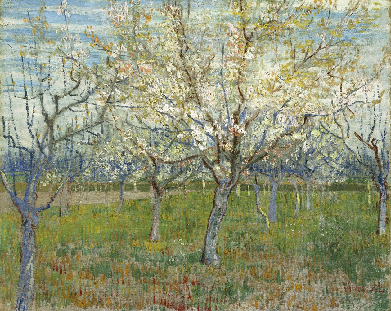 Le Verger rose, aussi appelé Verger aux abricotiers en fleurs - Vincent van Gogh