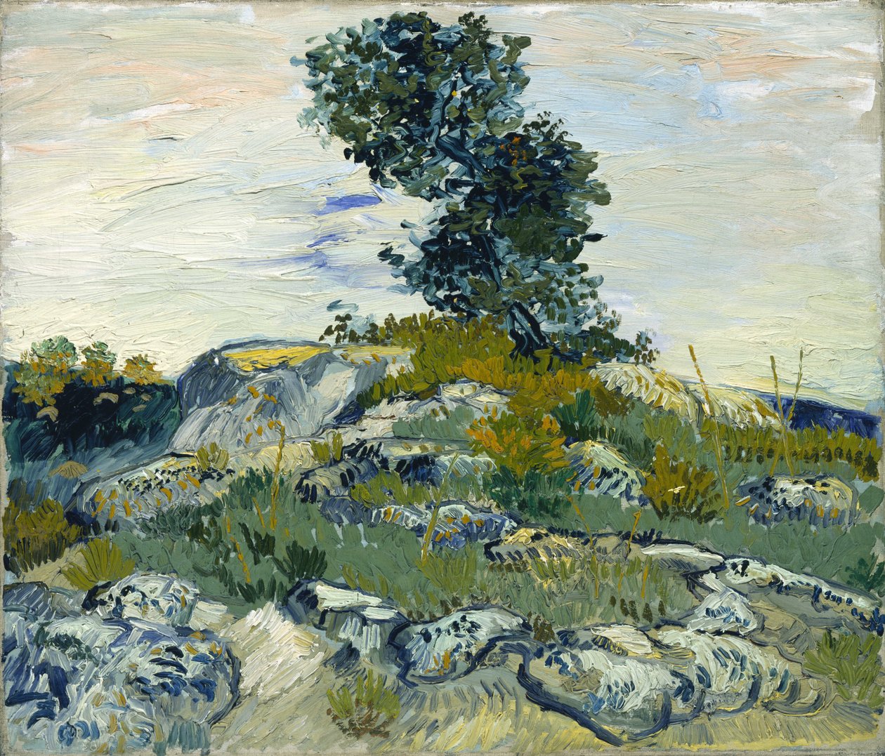 Les rochers / Rochers avec chêne - Vincent van Gogh
