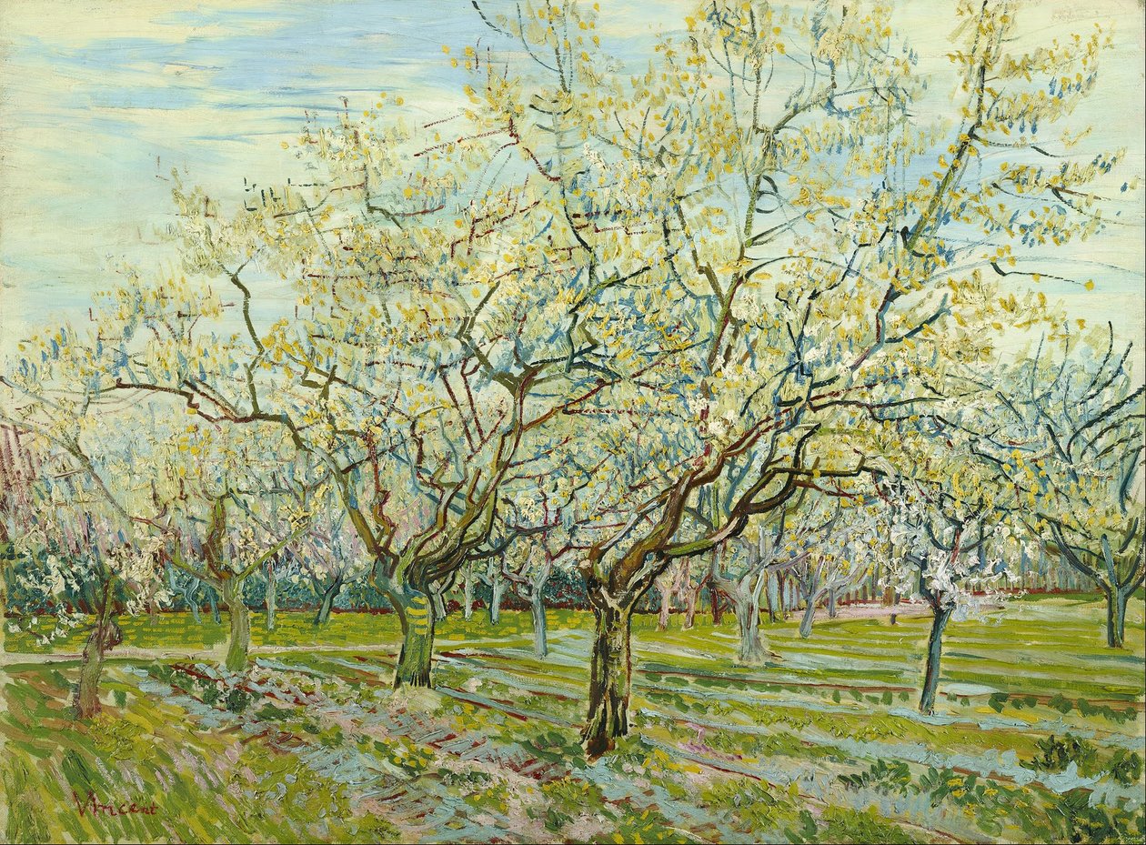 Le verger blanc - Vincent van Gogh