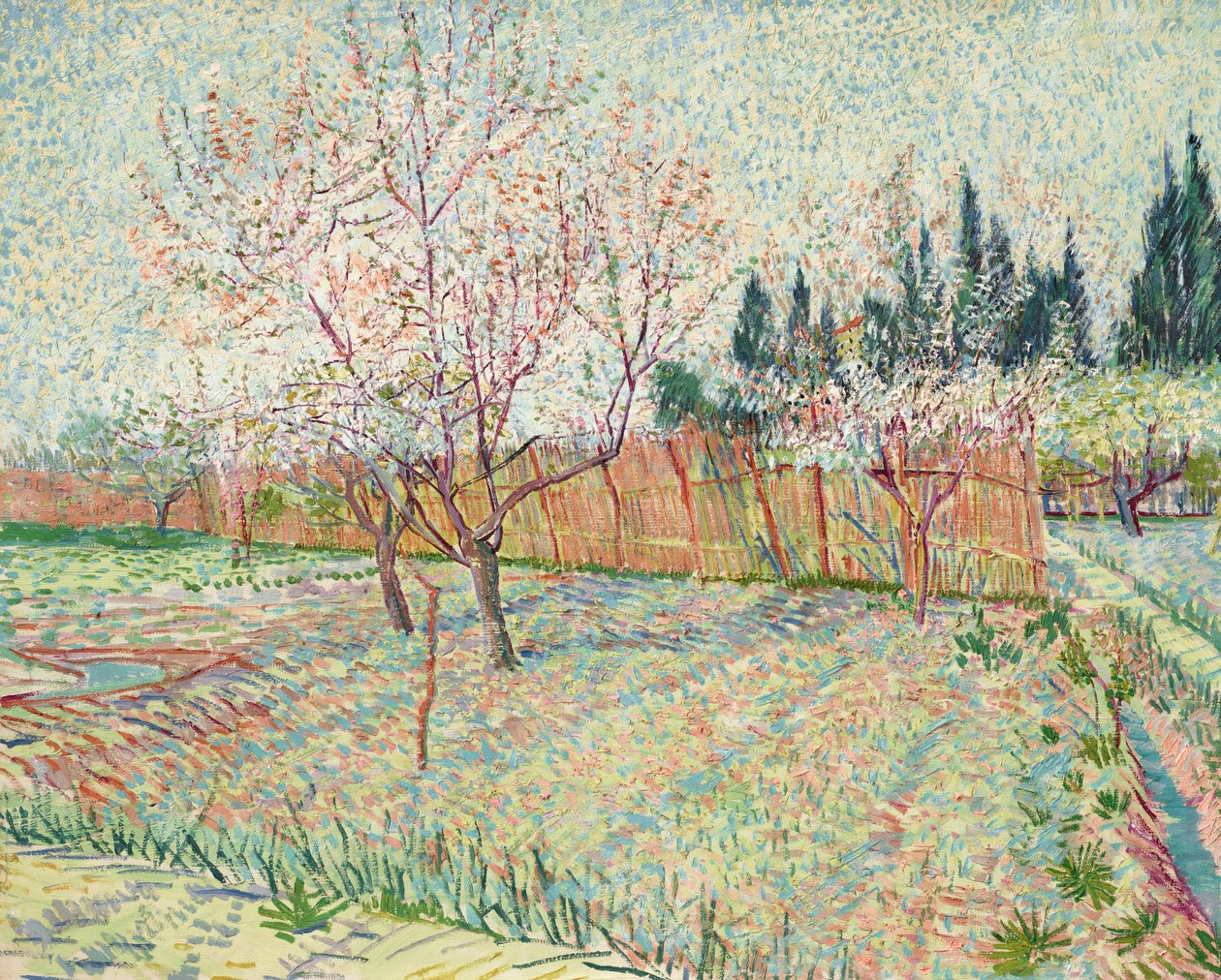 Verger avec cyprès - Vincent van Gogh