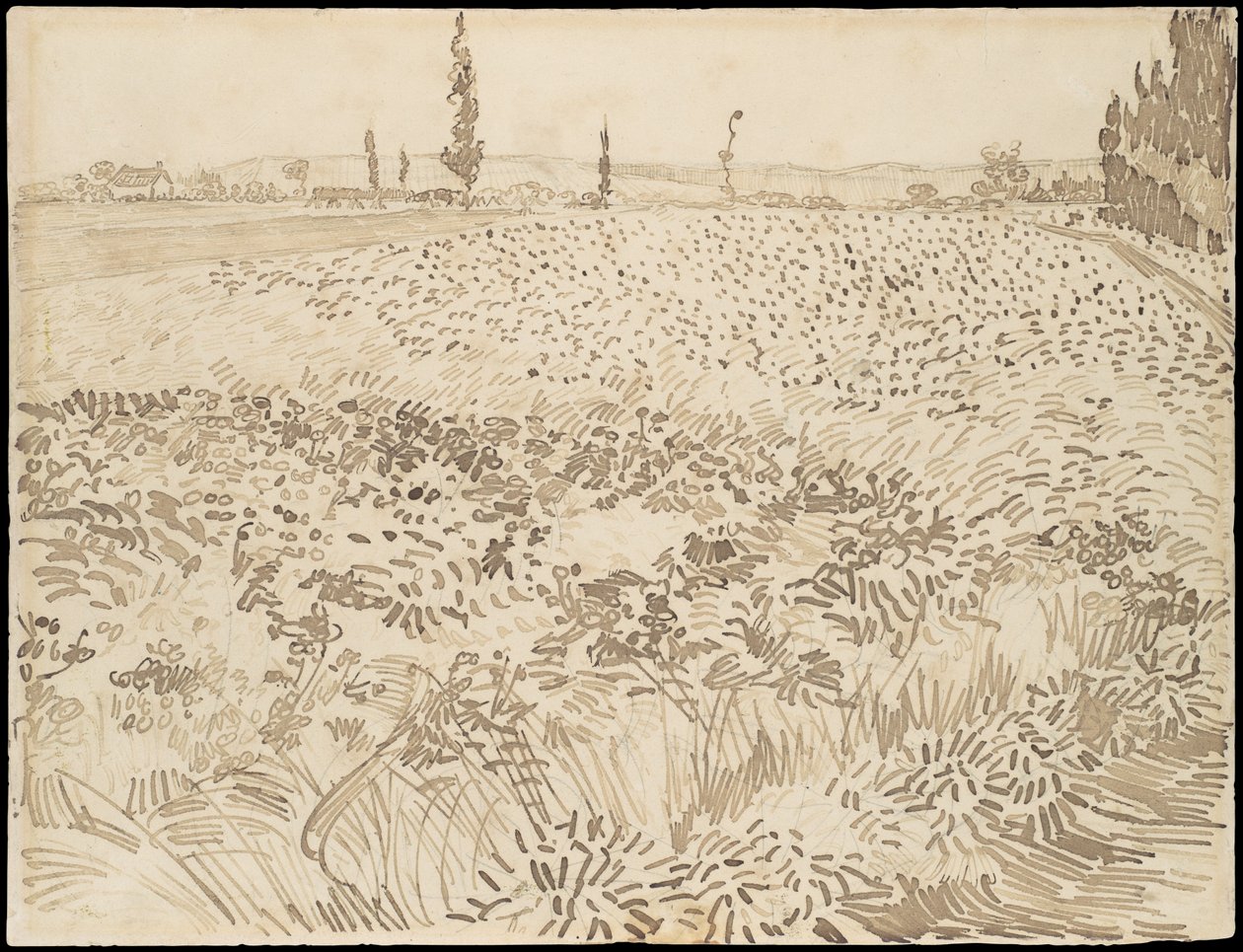 Champ de blé - Vincent van Gogh