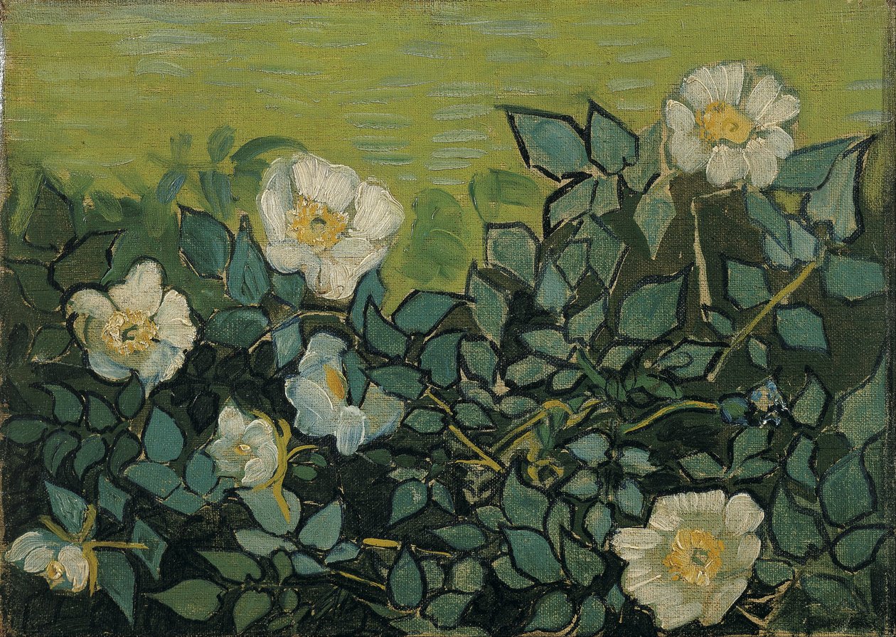 Roses sauvages - Vincent van Gogh