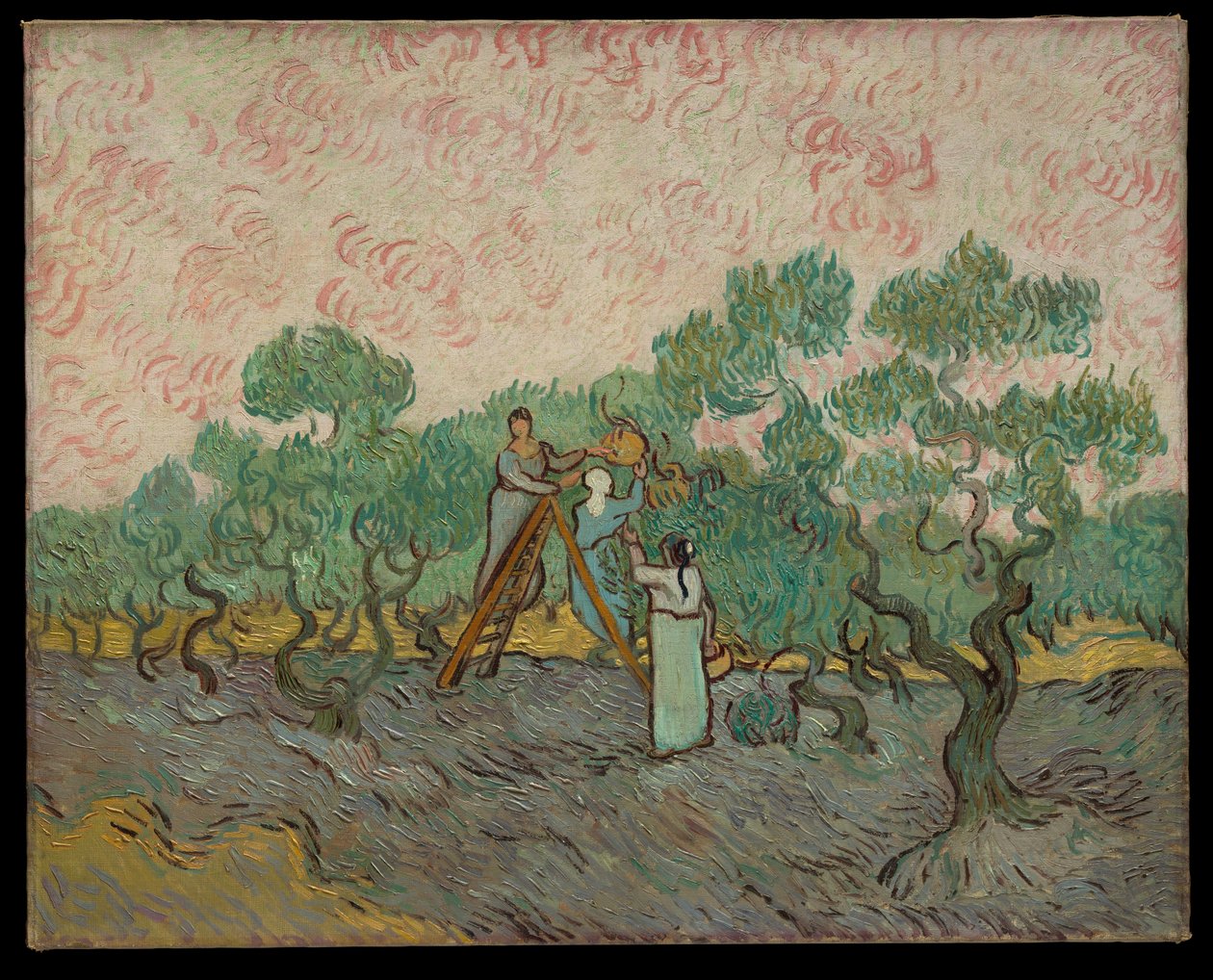 Des femmes cueillant des olives - Vincent van Gogh