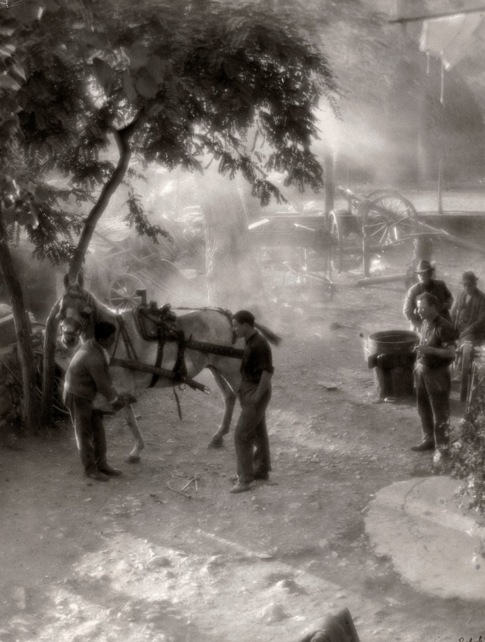 Ferrage des chevaux, Italie - Vincenzo Balocchi