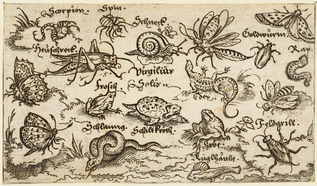 Insectes, reptiles, escargots et poissons sur un sol minimal avec de l
