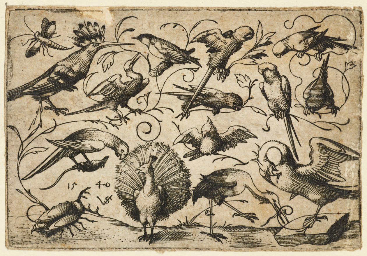 Dix oiseaux sur de petites vrilles de feuillage avec une cigogne attachant une vrille autour de la patte d