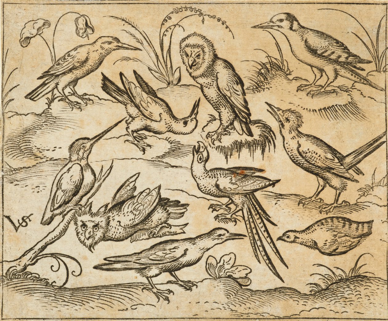 Dix oiseaux perchés sur des branches et des touffes d