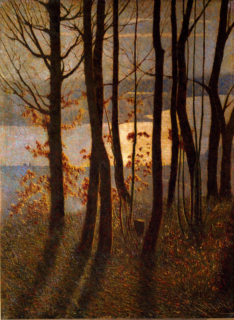 Matin ou Poème panthéiste Paysage de sous-bois près d