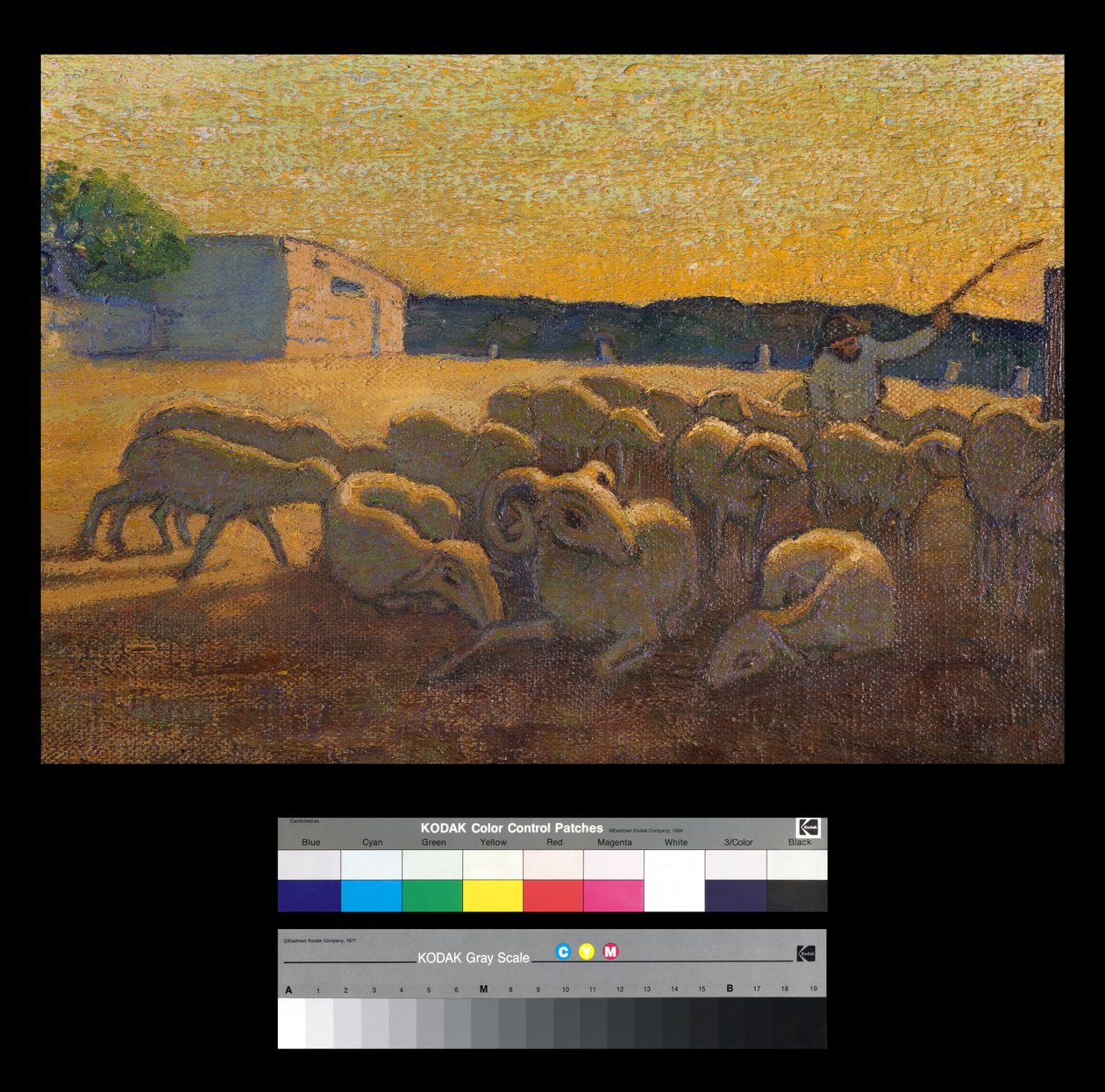 Coucher de soleil avec des moutons - Vittorio Bolaffio