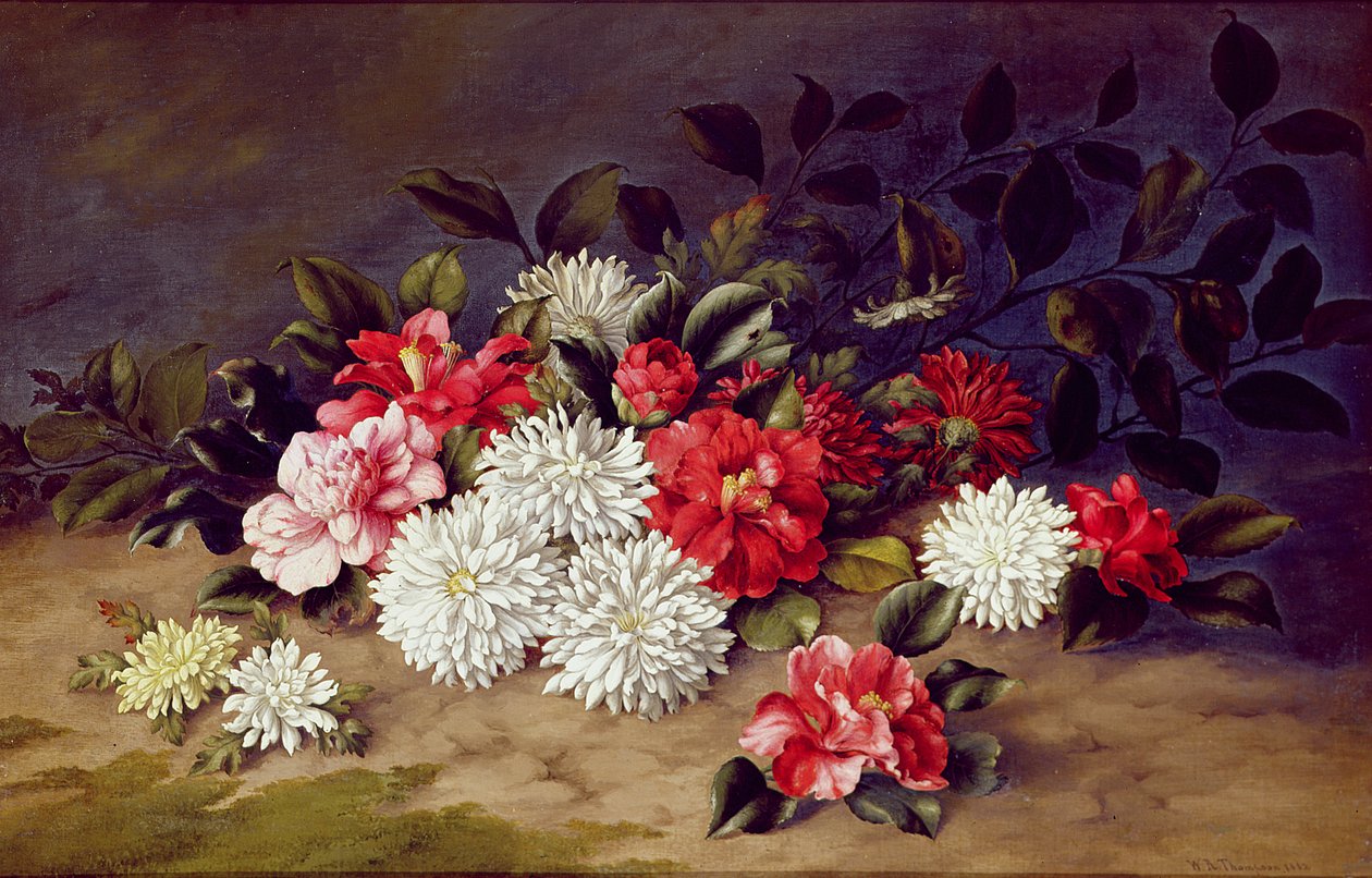 Nature morte de chrysanthèmes et camélias, 1883 - W. R. Thompson