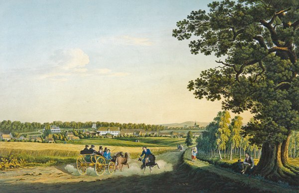 Vue d