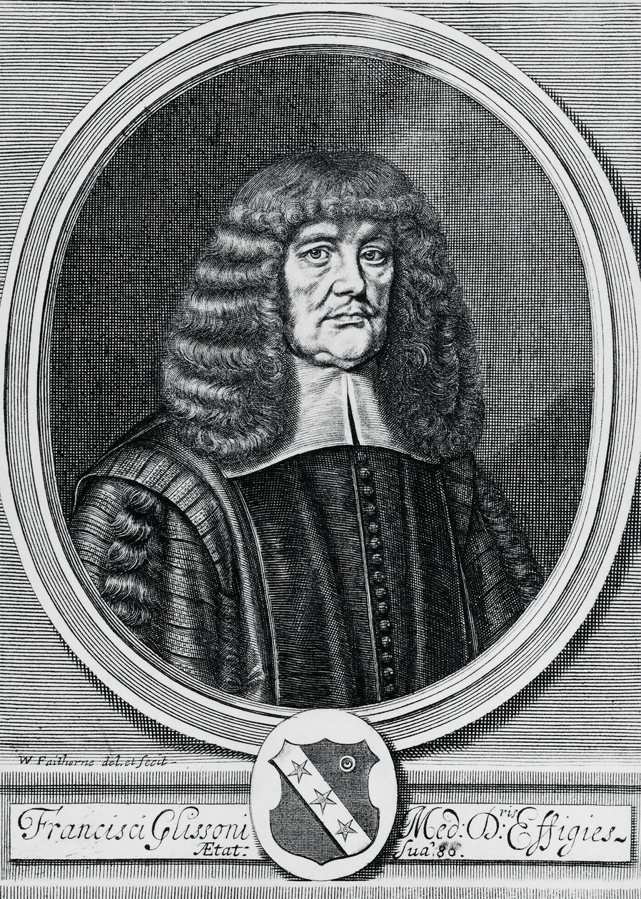 Portrait de Francis Glisson (1597-1677), physicien, anatomiste et médecin britannique, gravure - John Ward Dunsmore