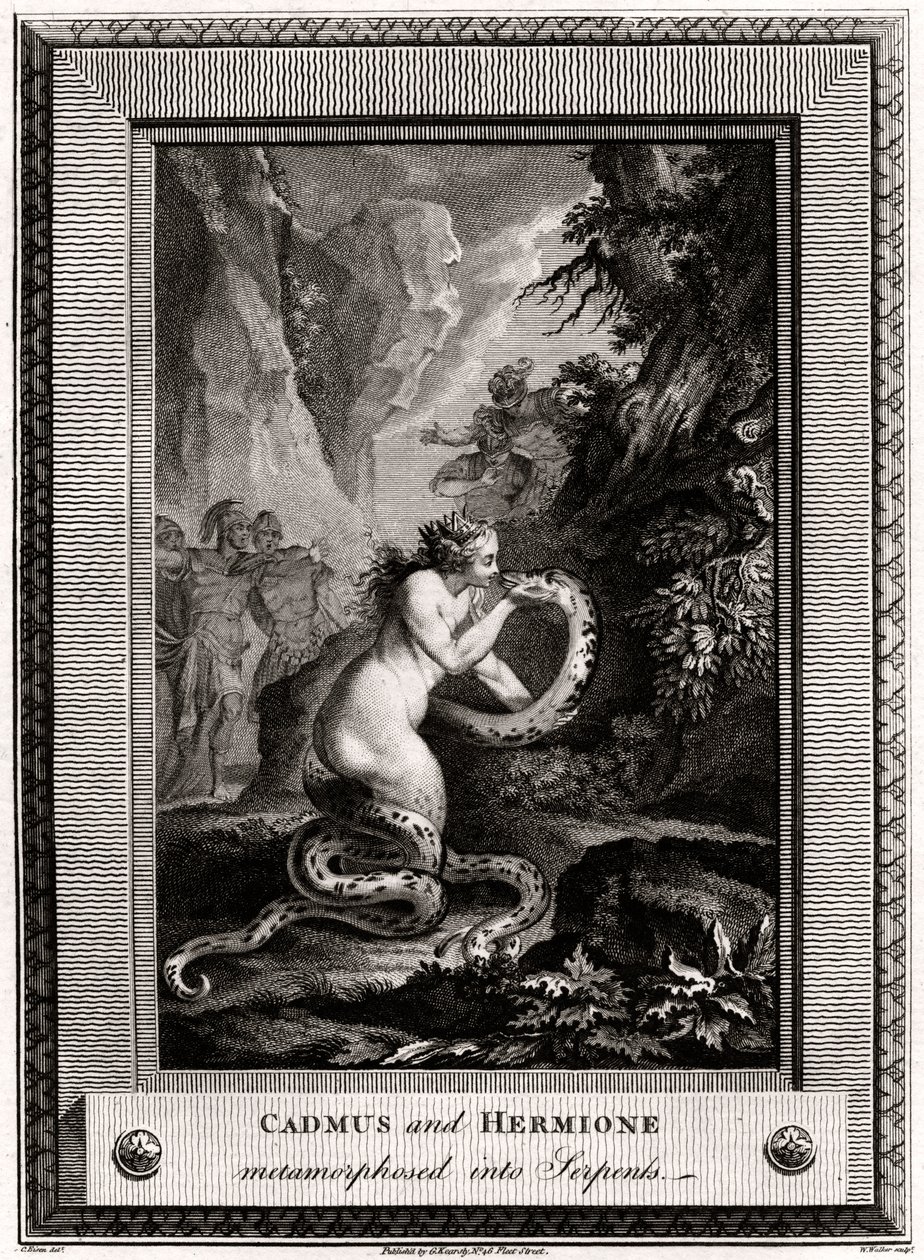 Cadmus et Hermione, métamorphosés en serpents, 1776 - W. Walker