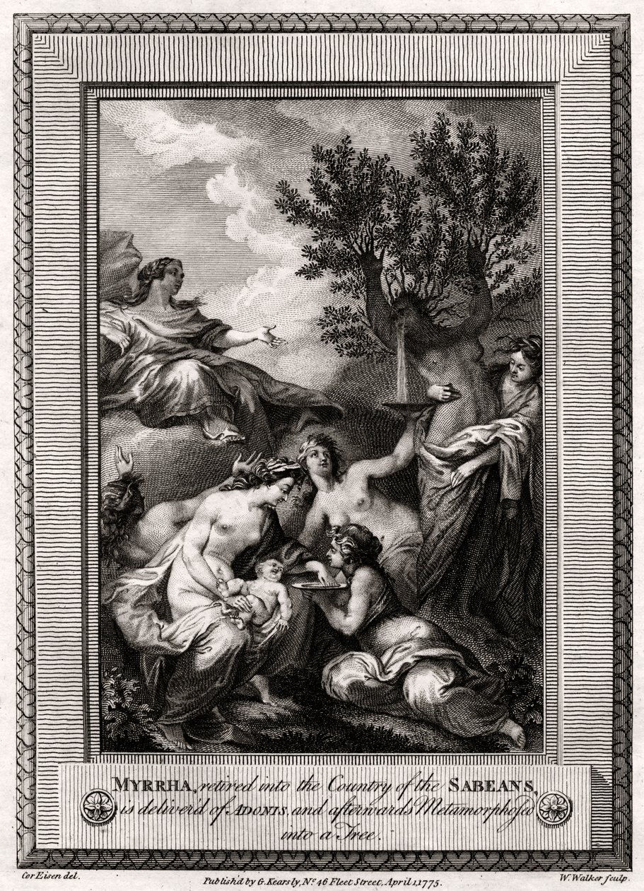 Myrrha, retirée dans le pays des Sabéens, accouche d