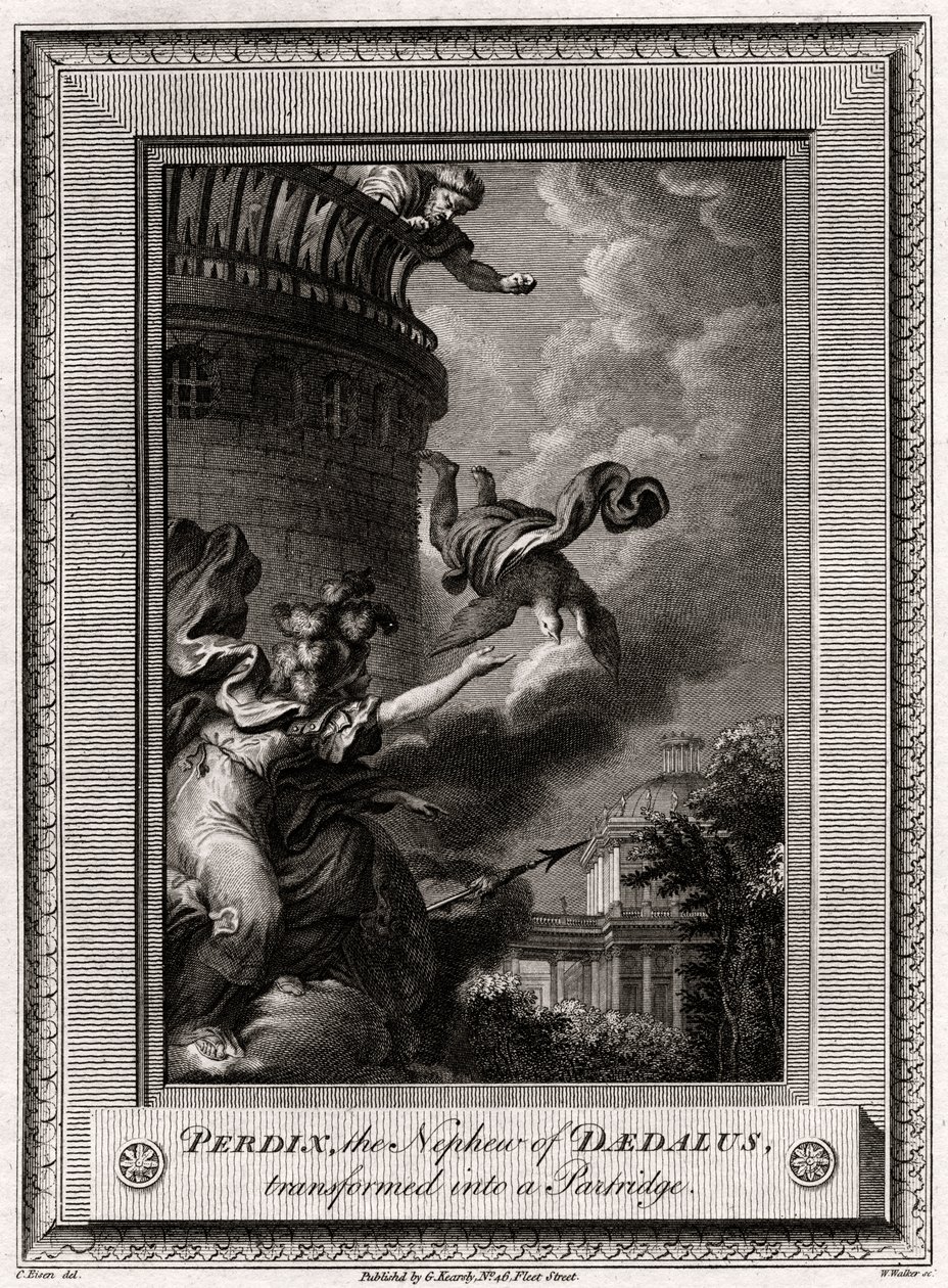 Perdix, le neveu de Dédale, transformé en perdrix, 1774 - W. Walker