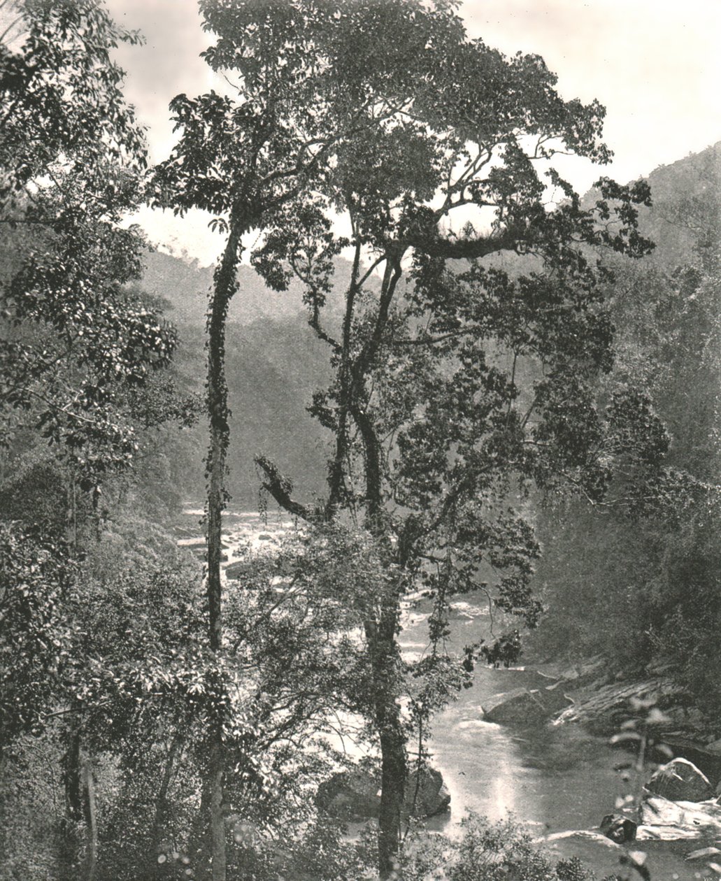 Vue de la rivière Kelani, Kurunegala, Ceylan, 1895 - W and S Ltd