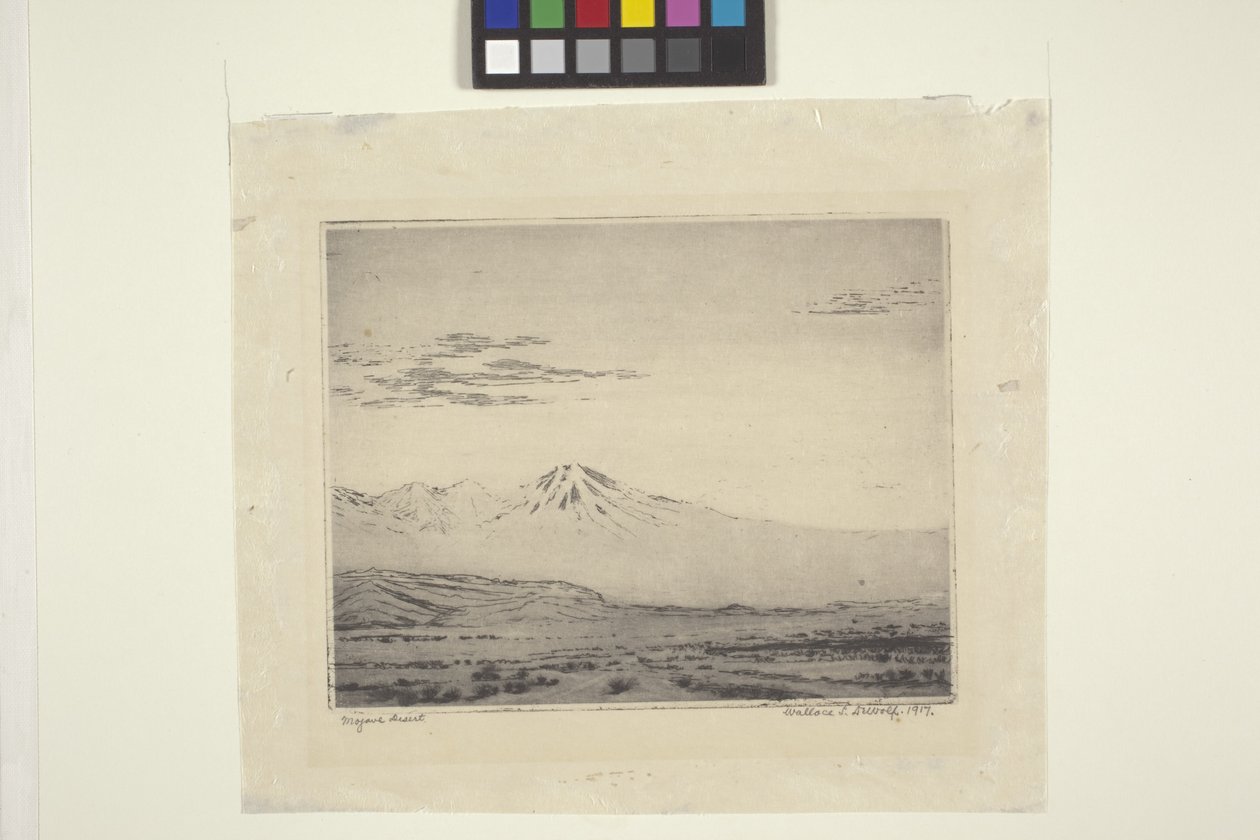 Désert de Mojave - Wallace Leroy DeWolf