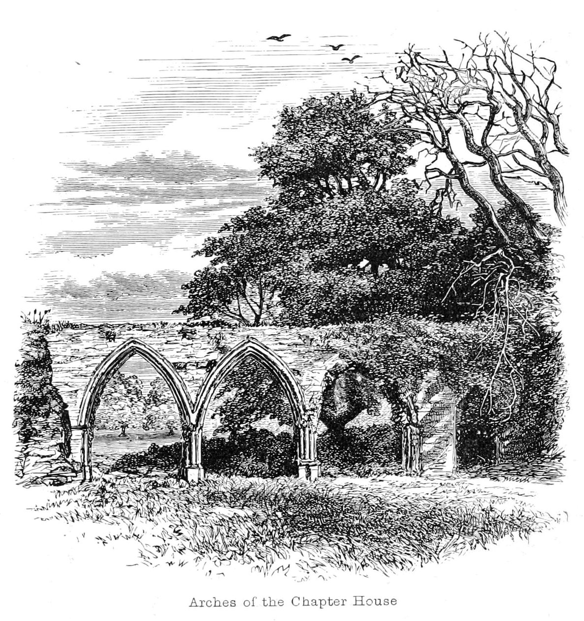 Arches de la salle capitulaire - Walter Crane
