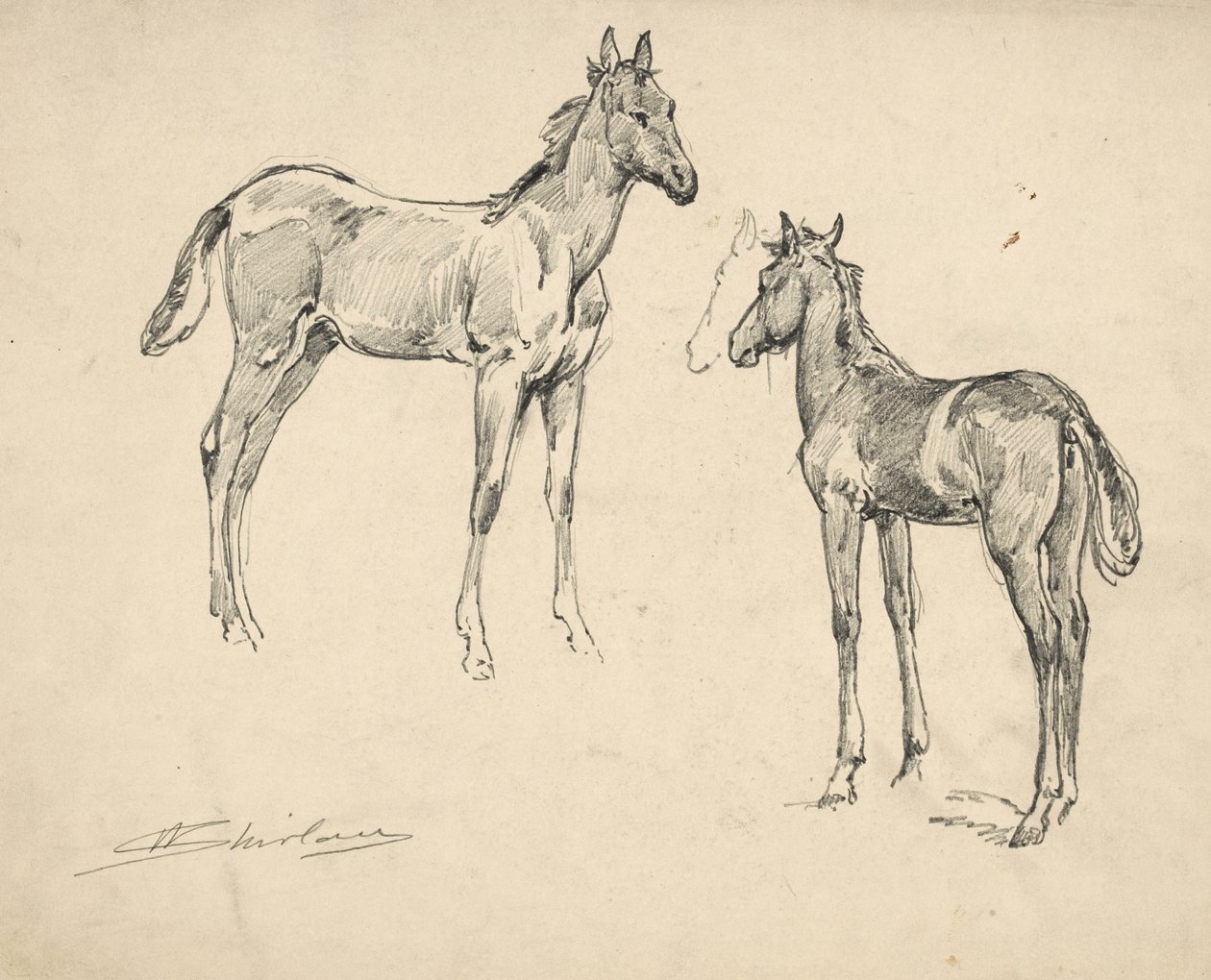 Étude de deux poulains - Walter Shirlaw