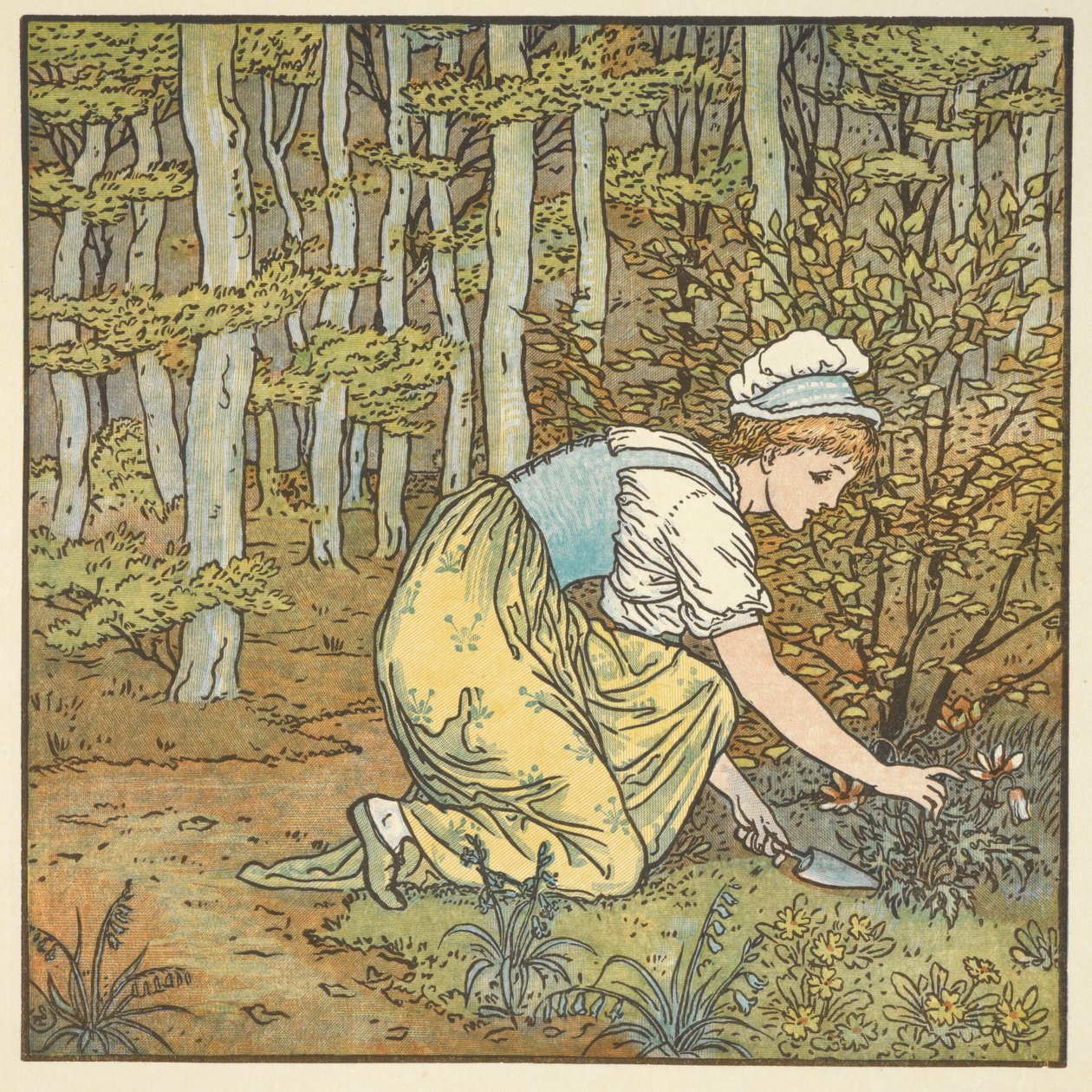 Illustration en couleur pour 