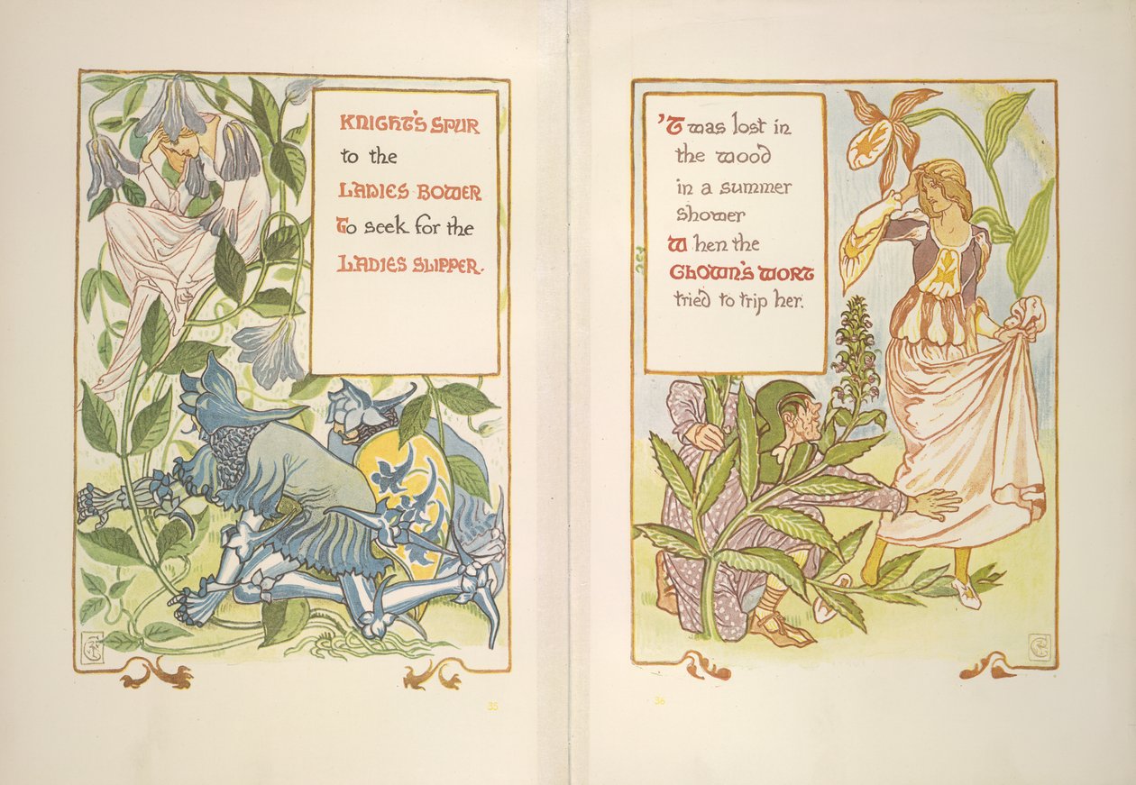 Éperon du chevalier et herbe du clown - Walter Crane