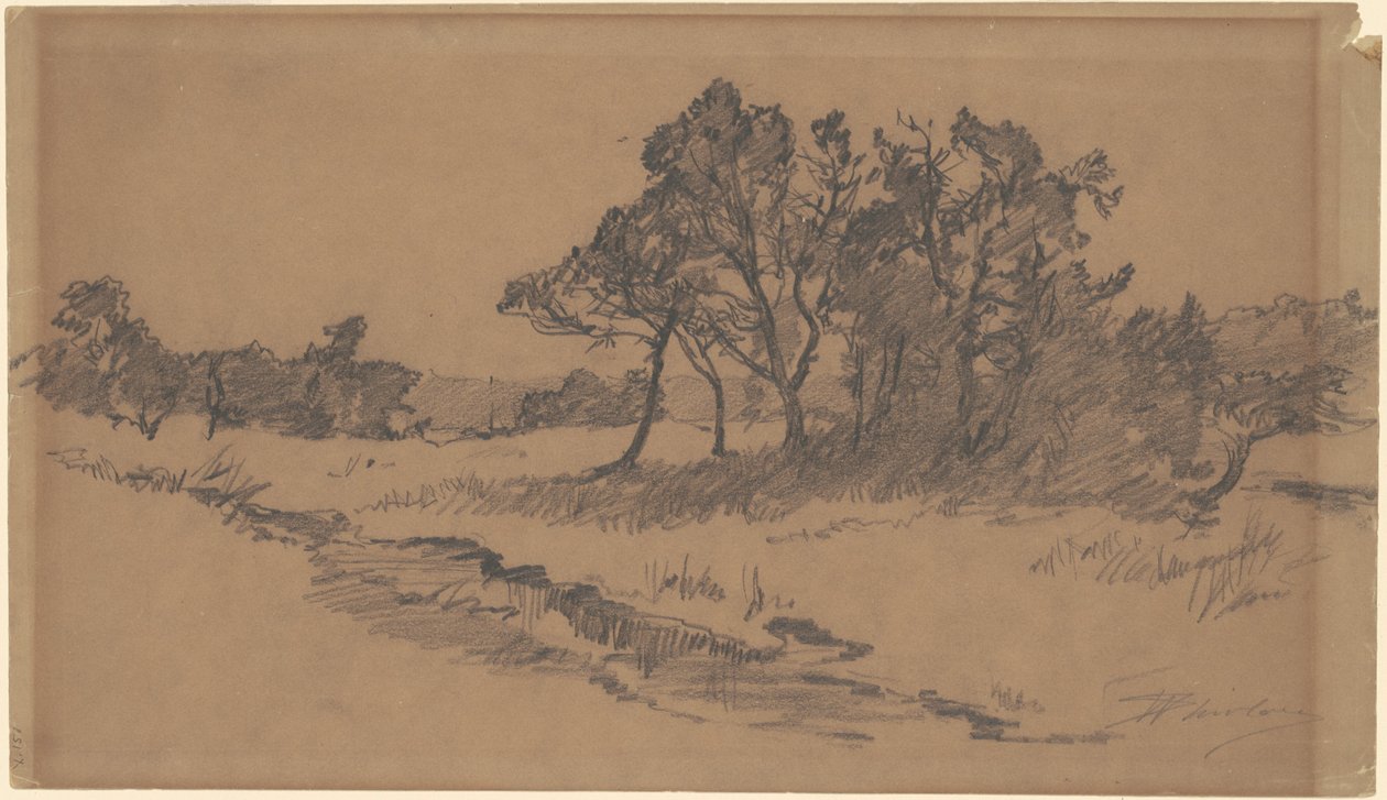 Arbres dans un champ - Walter Shirlaw