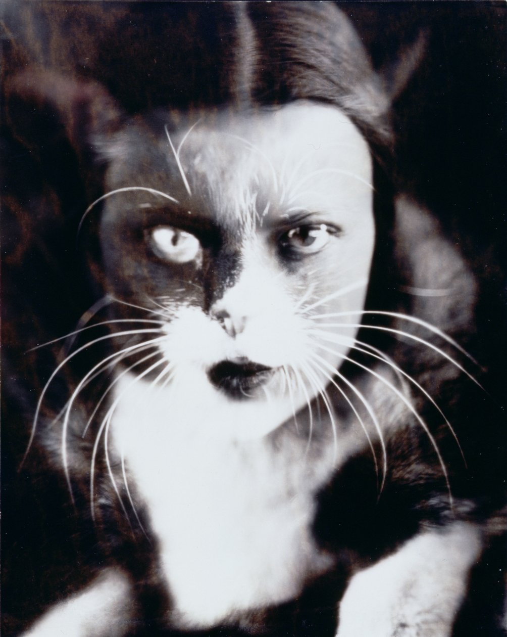 Le chat et moi - Wanda Wulz