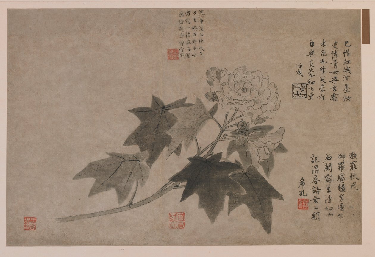 Hibiscus, 1347 - Wang Yuan