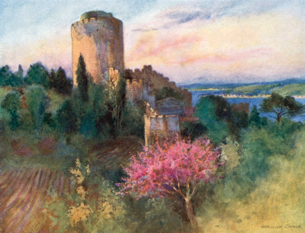  - Warwick (after) Goble