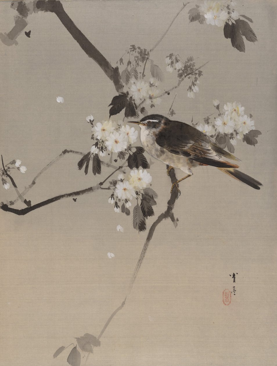 Oiseaux sur une branche fleurie, vers 1887 - Watanabe Seitei