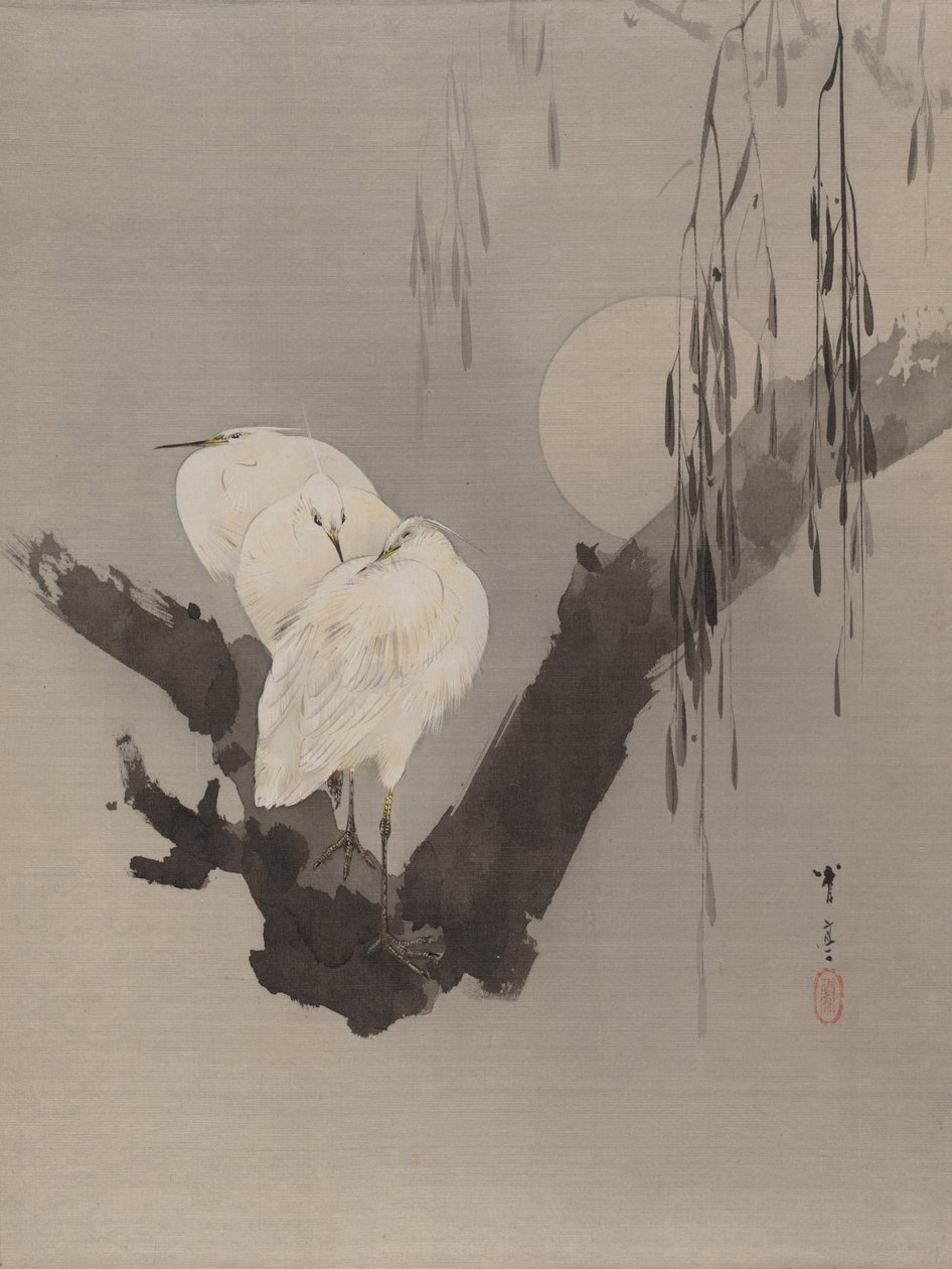 Aigrettes dans un arbre la nuit, vers 1887 - Watanabe Seitei
