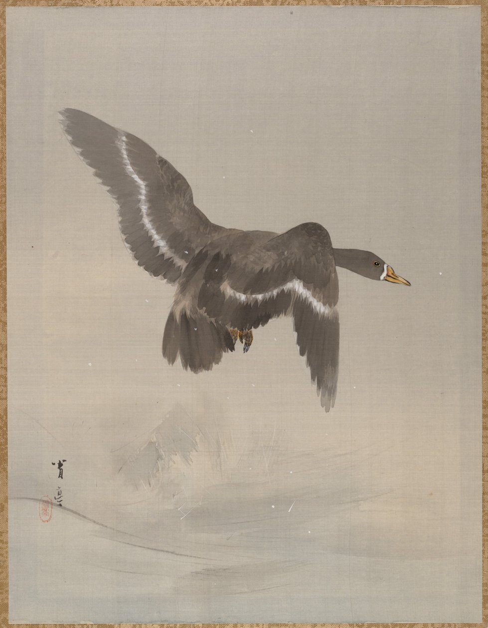 Oie volante, vers 1887 - Watanabe Seitei