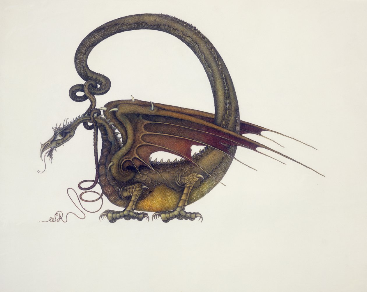 D comme Dragon - Wayne Anderson