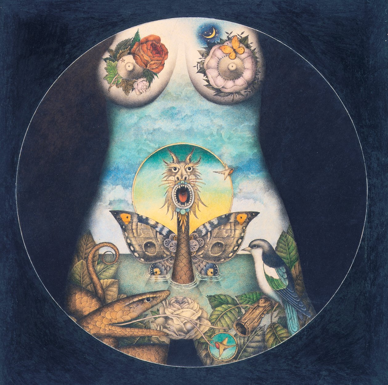 IRIZUMI - Wayne Anderson