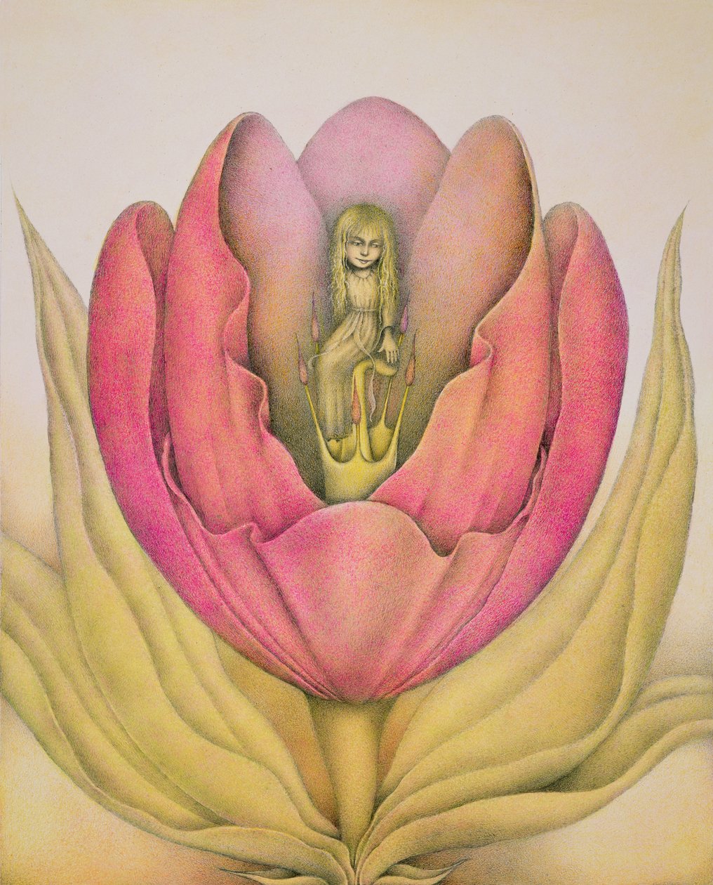 La tulipe éclate en un clin d