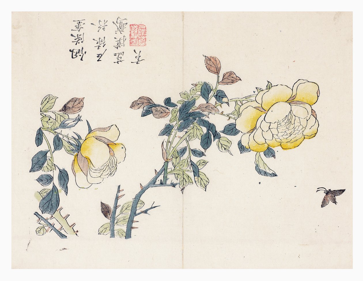 Jardin de graines de moutarde - Wen shu Chao