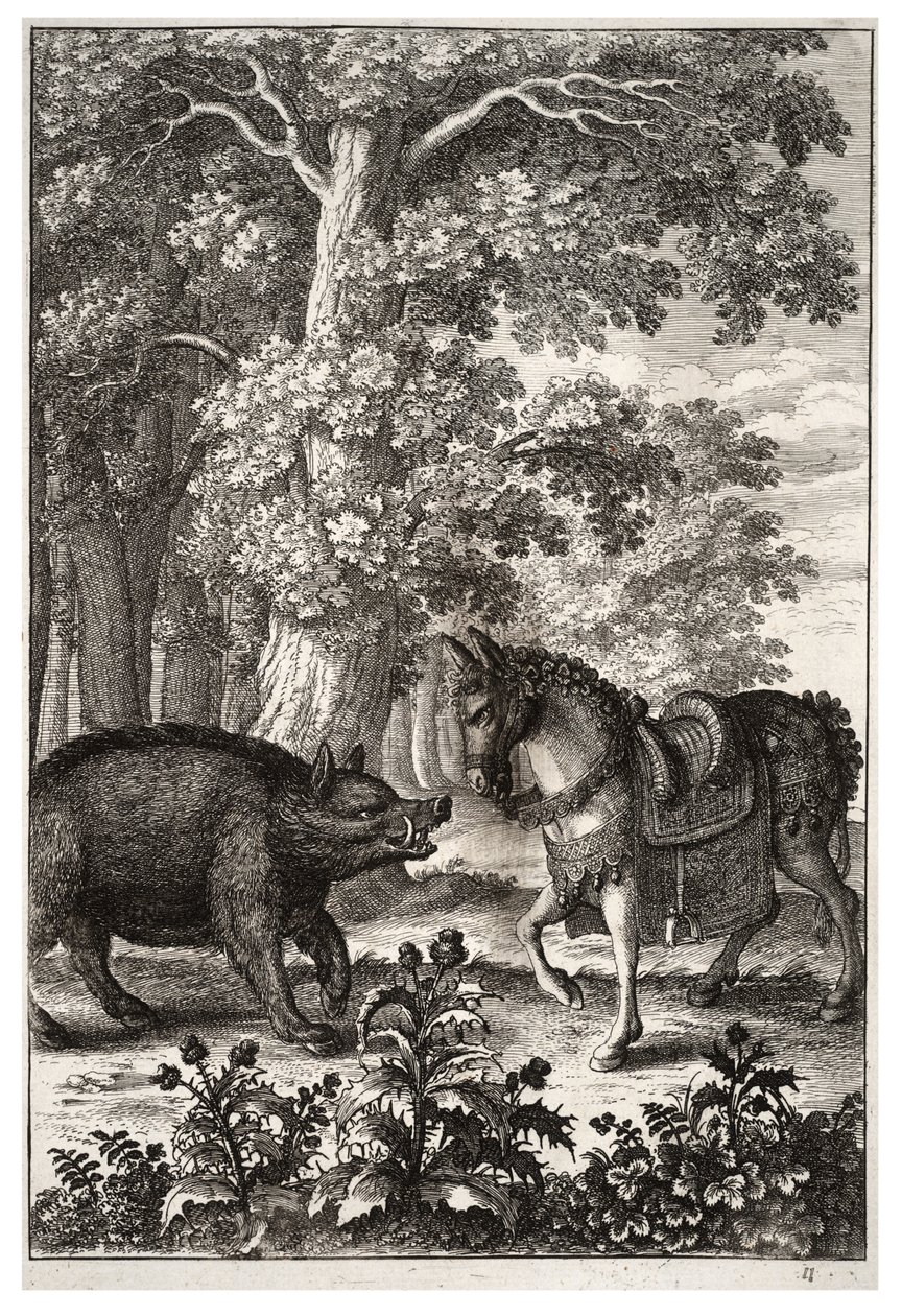 Sanglier et âne - Wenceslaus Hollar