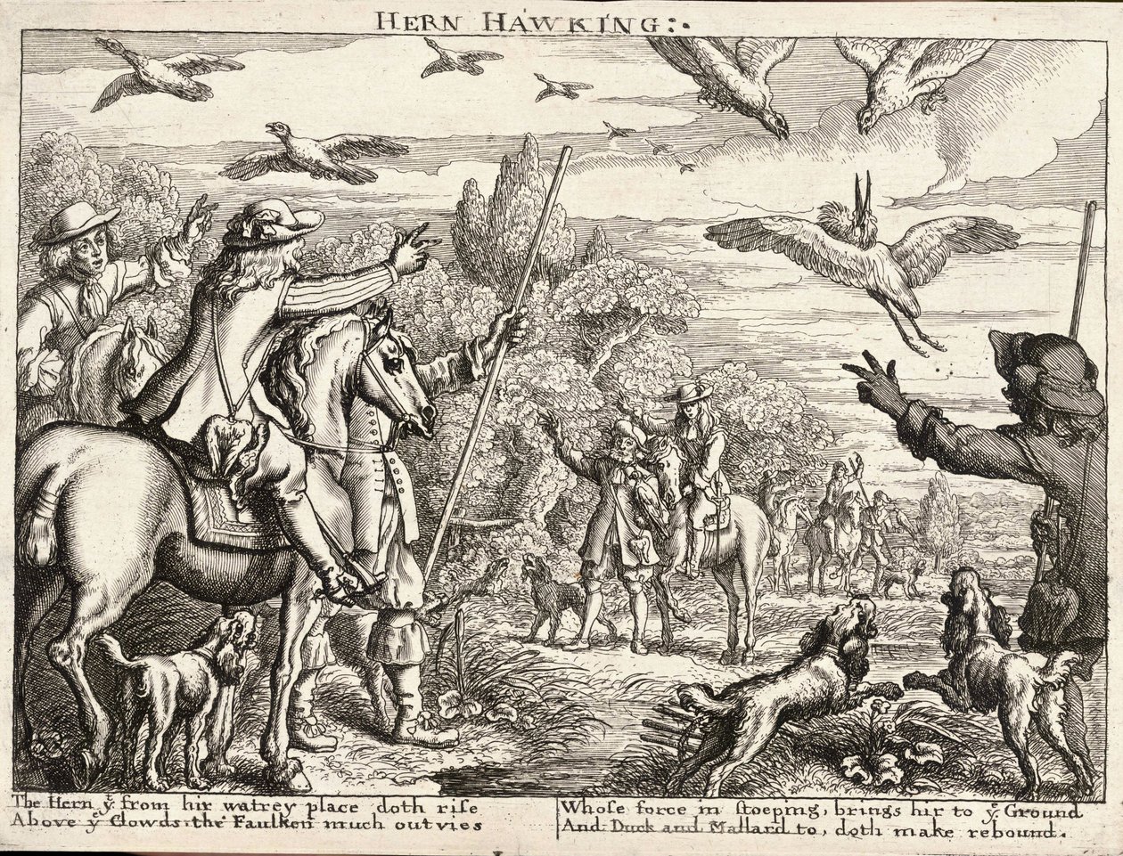 Chasse au héron - Wenceslaus Hollar