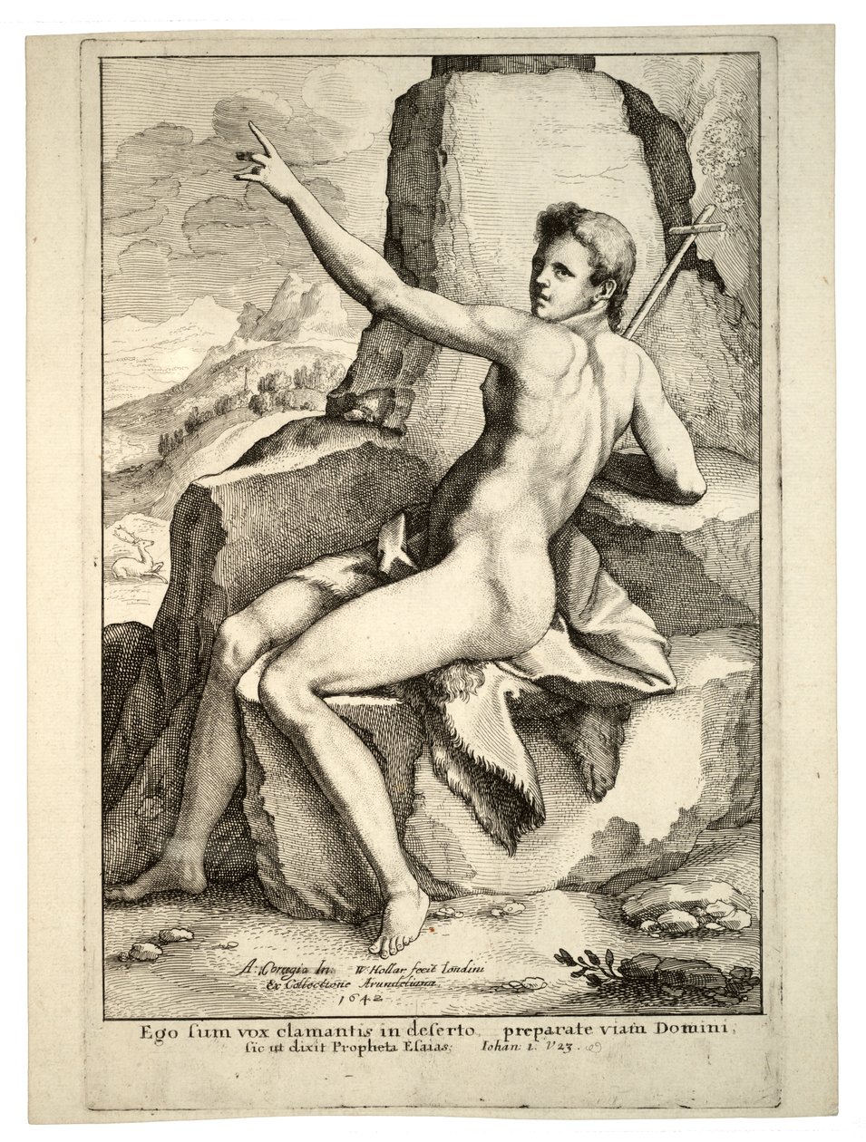 Saint Jean-Baptiste (état 2) - Wenceslaus Hollar