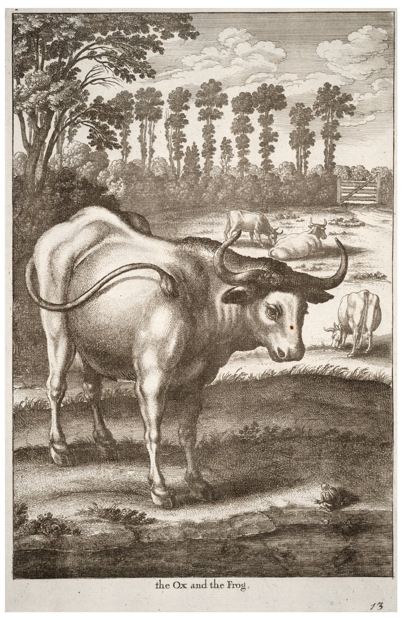 Le bœuf et la grenouille - Wenceslaus Hollar