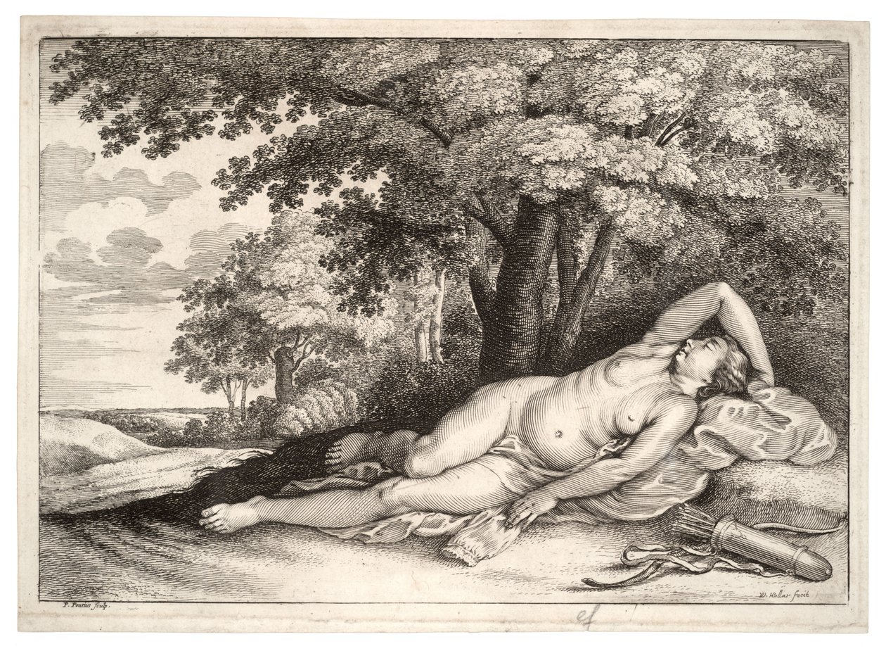 Chasseresse endormie (état 2) - Wenceslaus Hollar