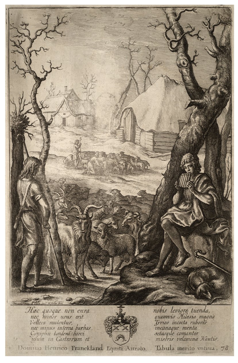 Élevage de bétail (état 3) - Wenceslaus Hollar