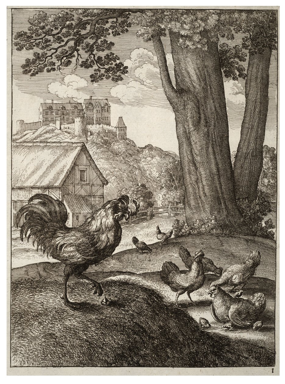 Le coq et le bijou - Wenceslaus Hollar