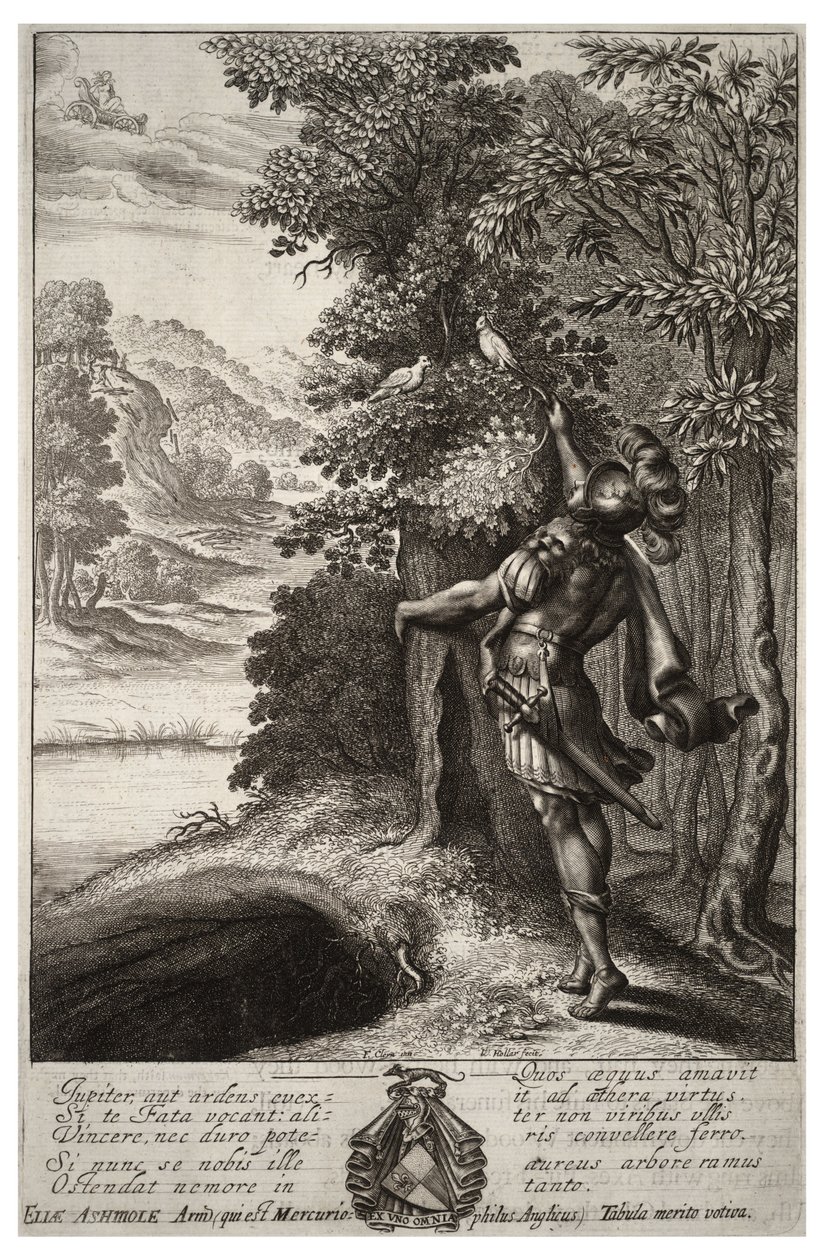 La branche dorée. État 1 - Wenceslaus Hollar