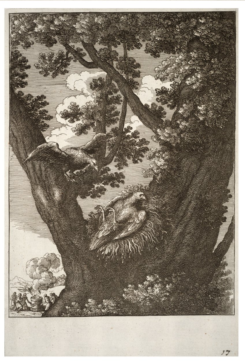 Le cerf-volant malade et sa mère - Wenceslaus Hollar