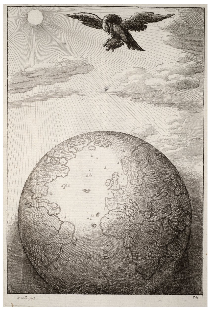 La tortue et l