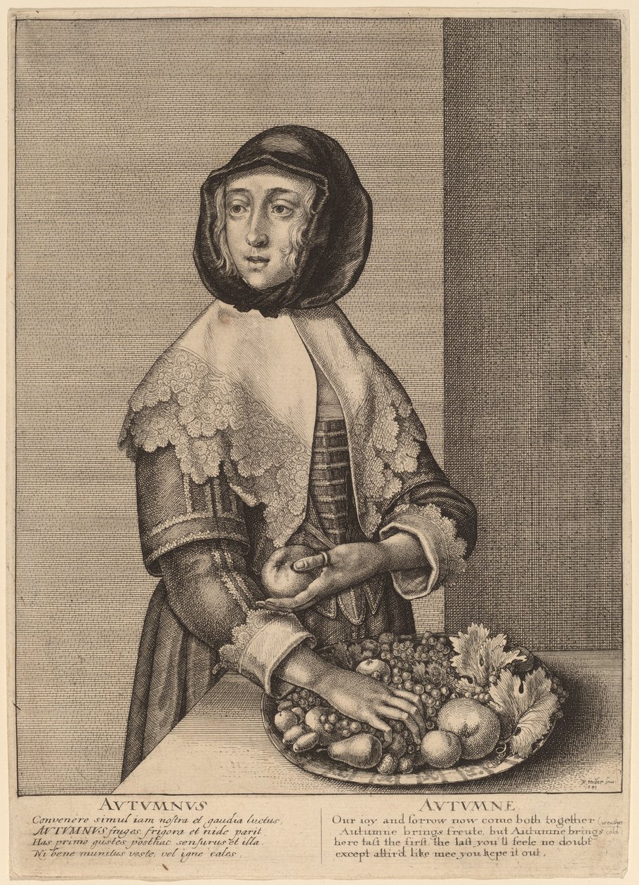 Automne - Wenceslaus Hollar